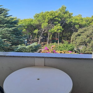 Hotel Apartment Family Ribicic cazare Kolan