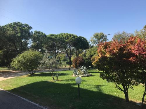 Hotel Hotel Nuova Barcaccia