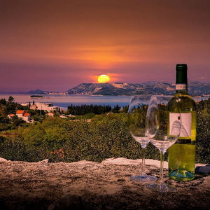 Hotel Gustav- Superior Sea View cazare Cavtat