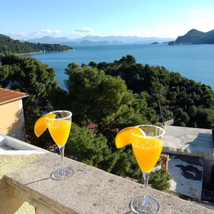 Hotel Apartments Laura cazare Blato