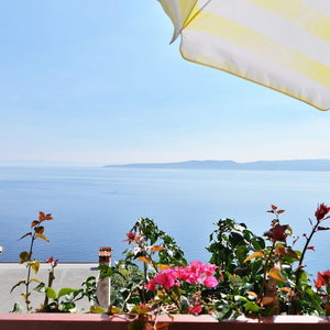 Hotel Apartments Goran cazare Brela
