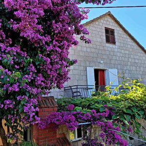 Hotel Apartments Saulan cazare Gruda