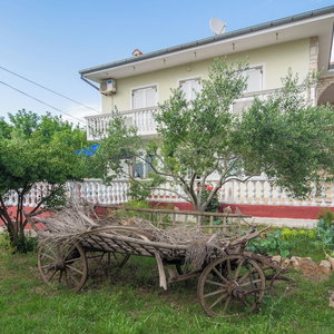 Hotel Apartment Basic Mario cazare Vir