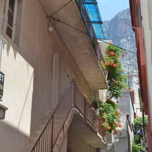 Hotel Olive Grove Apartment cazare Podgora