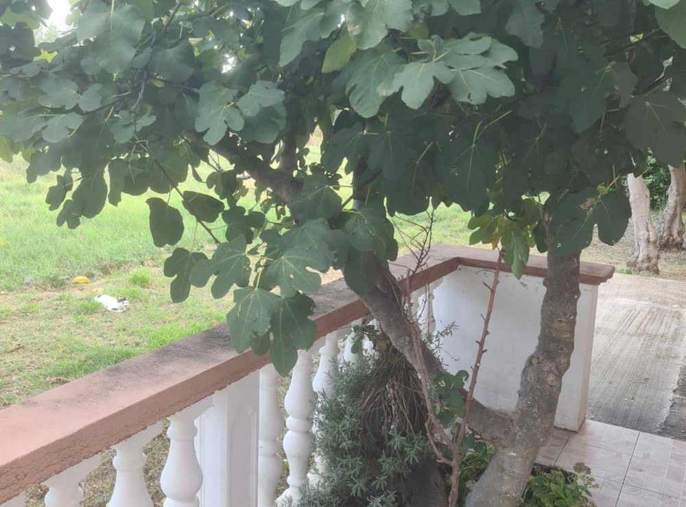 Hotel Apartments Rubbi