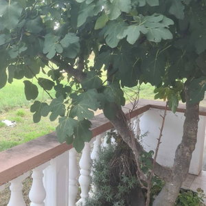 Hotel Apartments Rubbi cazare Vrsi