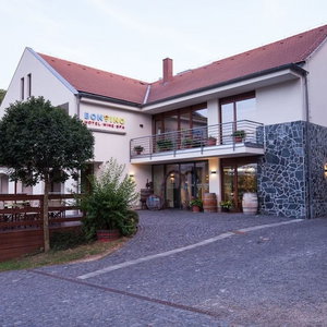 Hotel Hotel Bonvino Wine & Spa cazare Badacsonytomaj