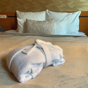 Hotel Termál Hotel Vesta cazare Tapioszecso