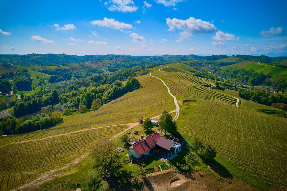 Hotel Holiday House Podhamer Boris With Private Wellness