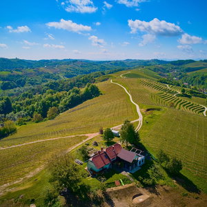 Hotel Holiday House Podhamer Boris With Private Wellness cazare Balatonfenyves
