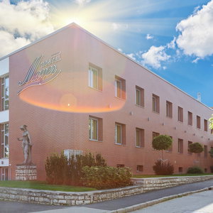 Hotel Hostel Mayer Superior Veszprém cazare Veszprem