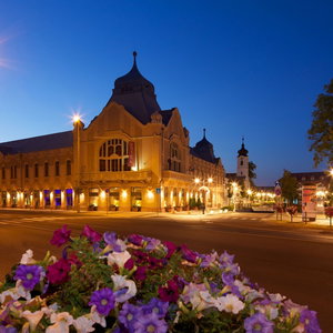 Hotel Erzsebet Kiralyne Hotel cazare Godollo
