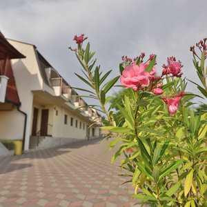 Hotel Margaréta Apartman És Üdülőház cazare Bogacs