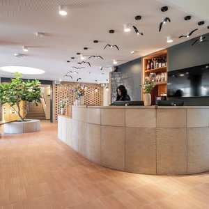 Hotel Malom És Kacsa Boutique Hotel cazare Tata