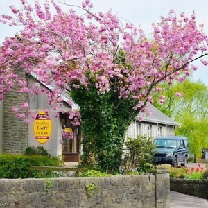 Hotel Ach Na Sheen Guest House cazare Tipperary