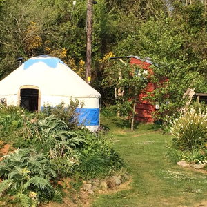 Hotel Inch Hideaway Eco Glamping cazare Whitegate
