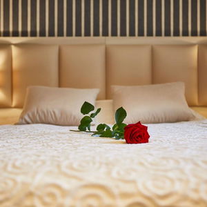 Hotel Willa Labelle cazare Zakopane