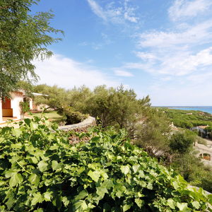 Sejur Alba Dorata Resort vacanta Orosei