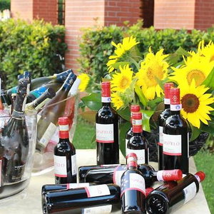 Hotel Ricci Hotel cazare Marina di Grosseto