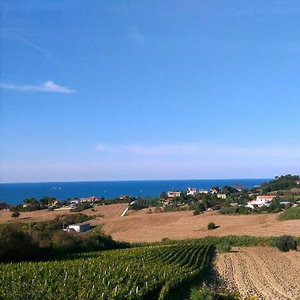 Hotel B&B Vistazzurra cazare Ancona