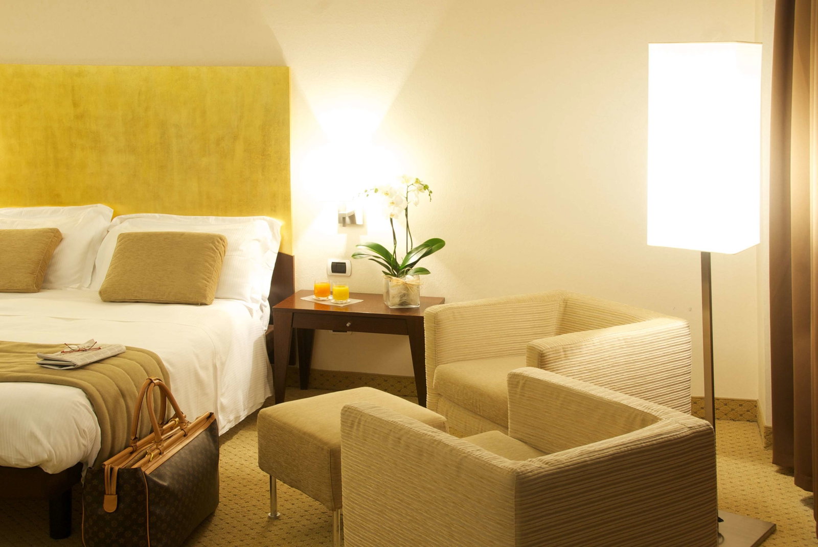 Hotel Hotel Executive