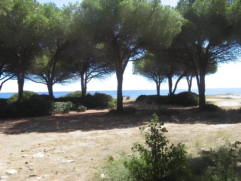 Residence La Pineta