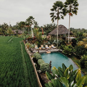 Hotel Padi Bali Retreat cazare Kecamatan Payangan