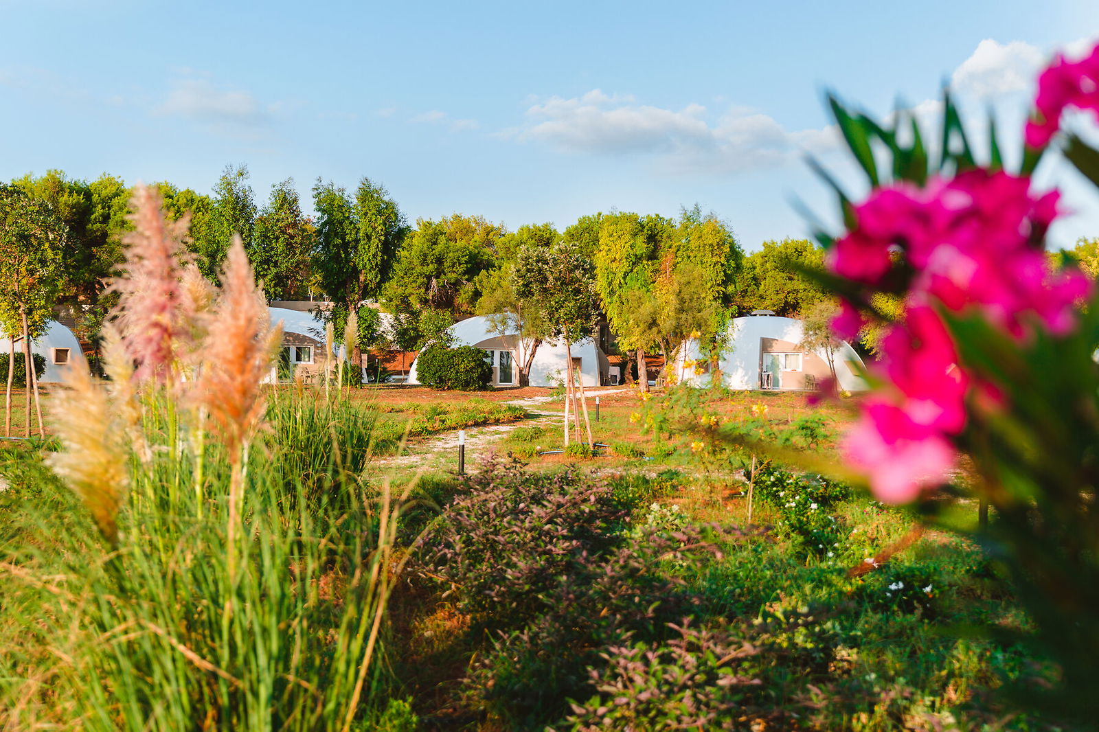 Hotel Torre Cintola Natural Sea Emotions