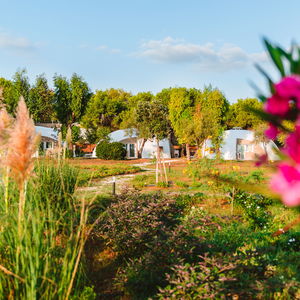 Hotel Torre Cintola Natural Sea Emotions cazare Monopoli