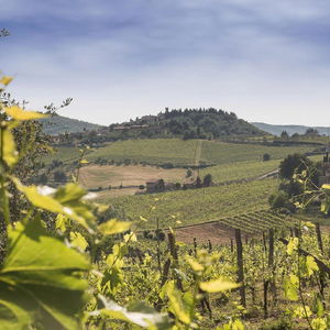 Hotel Relais Santa Cristina cazare Radda in Chianti