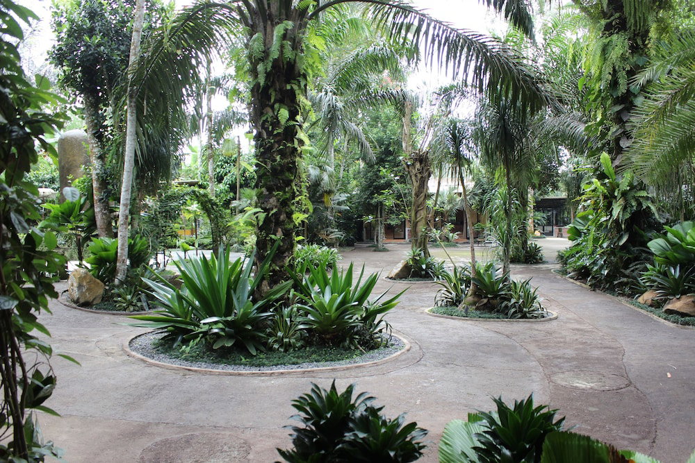 Hotel The Jungle Pots