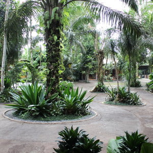 Hotel The Jungle Pots cazare Kecamatan Payangan