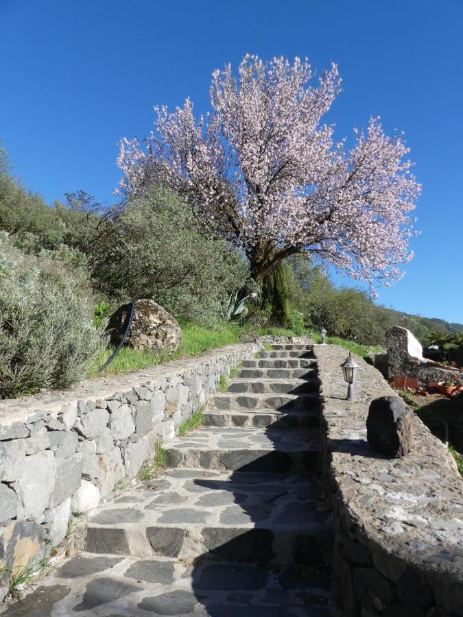 Hotel Mountain Hostel Finca La Isa