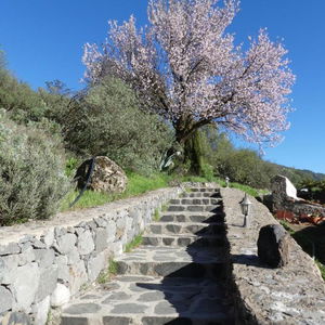 Hotel Mountain Hostel Finca La Isa cazare Tejeda