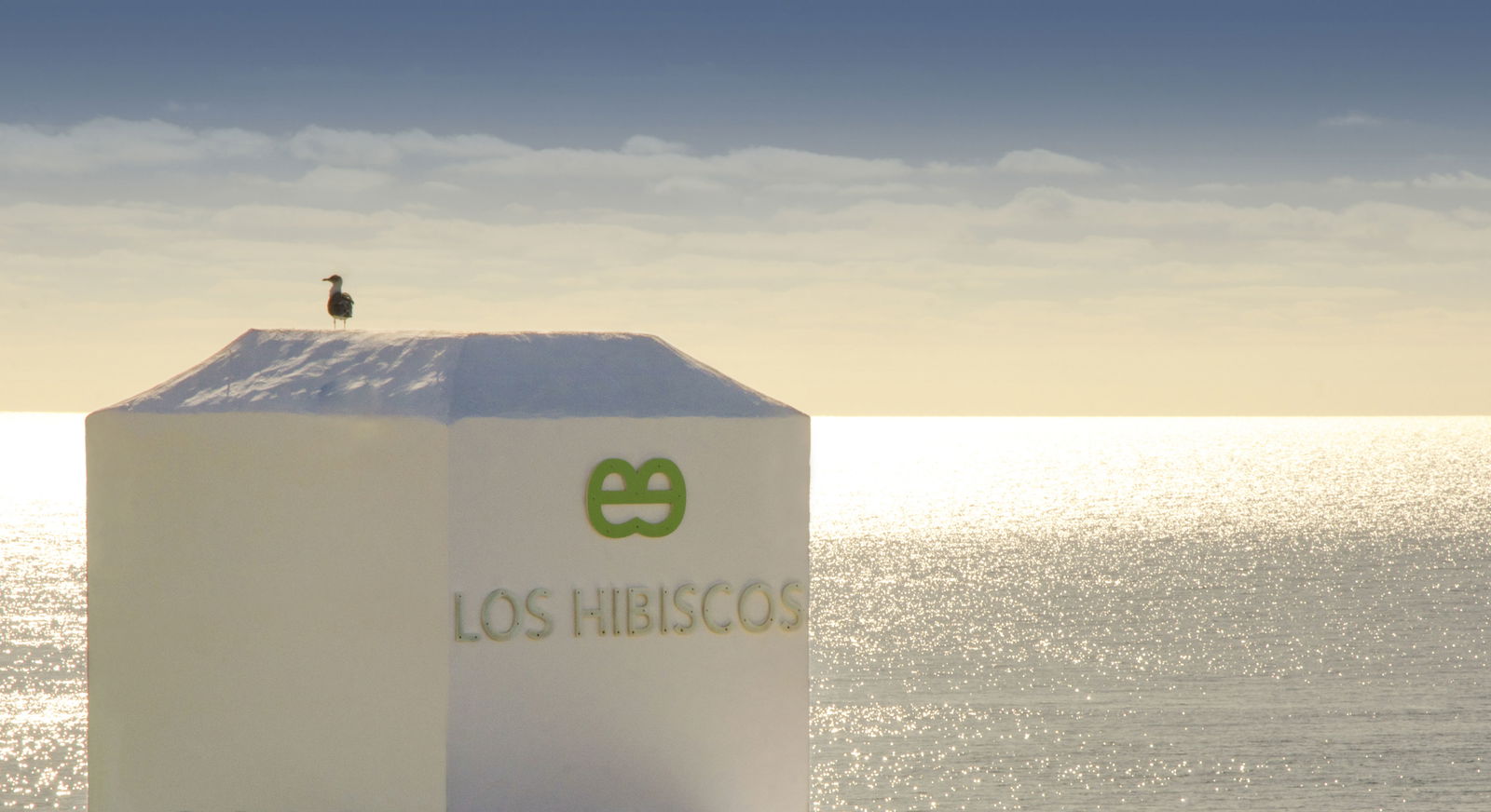 Hotel Ereza Los Hibiscos