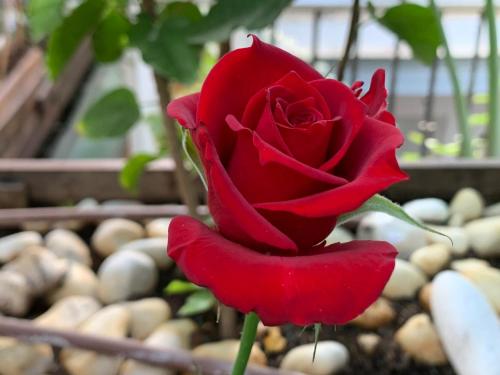 Hotel Alquimia Hostel