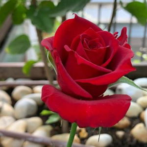 Hotel Alquimia Hostel cazare Cadiz