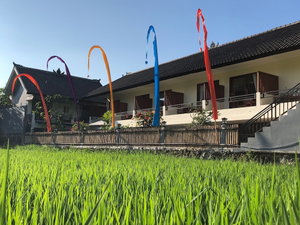 Hotel Derose Guest House Canggu Bali cazare Canggu