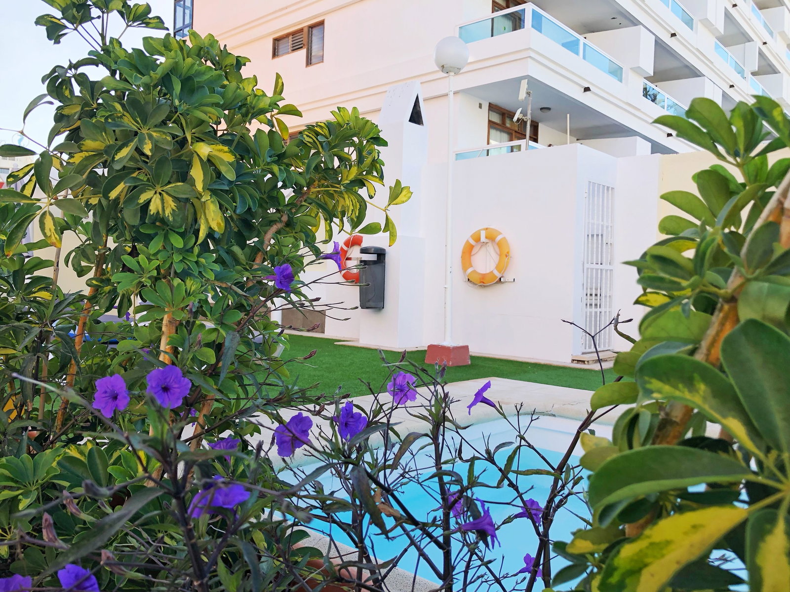 Apartamentos Don Gregorio