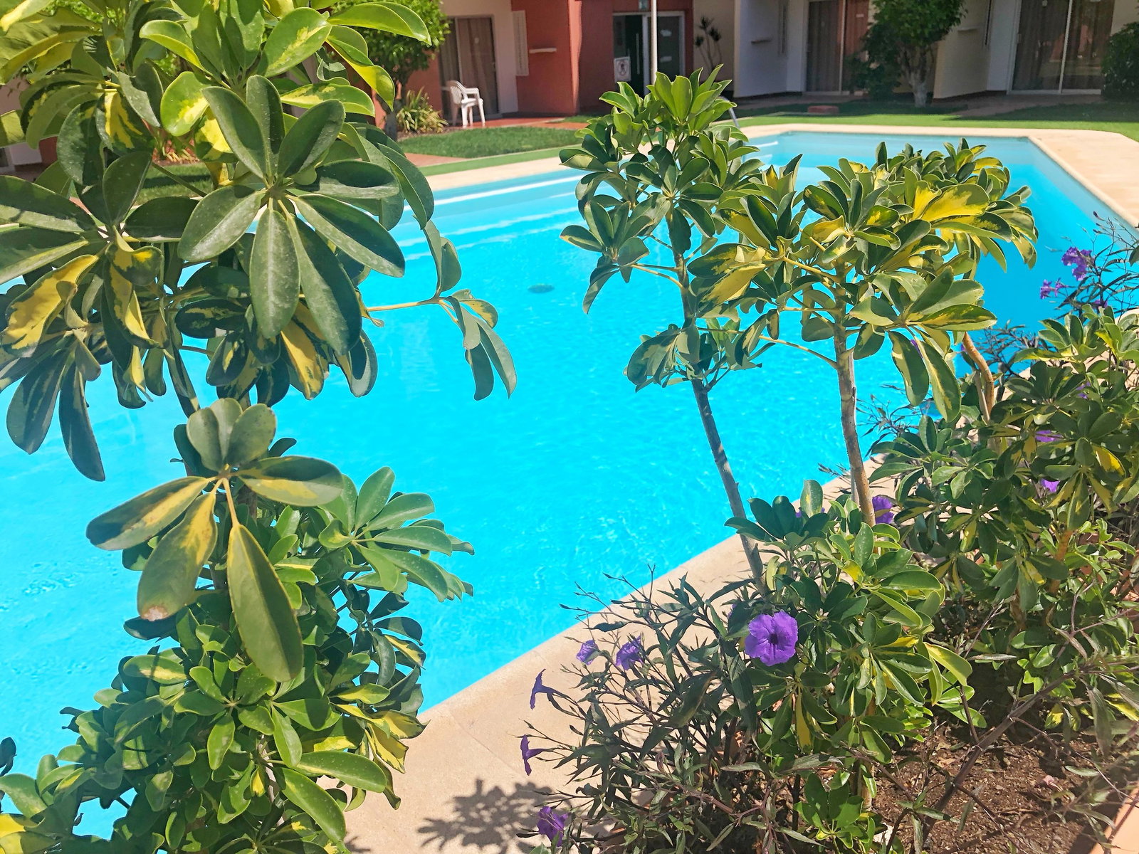 Apartamentos Don Gregorio