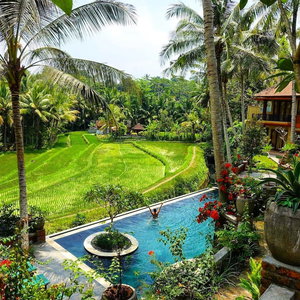 Hotel Umasari Rice Terrace Villa cazare Mengwi
