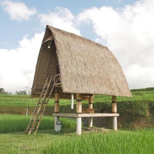 Hotel Swaha Retreat & Eco Park Ubud cazare Banjar Dujung Kaja