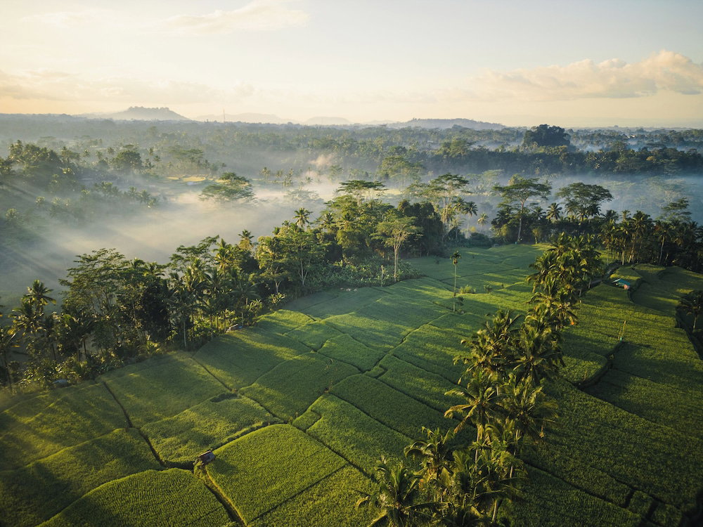Hotel Ubud Mas Glamping Luxury Tent