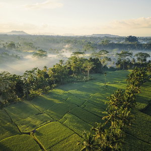 Sejur Ubud Mas Glamping Luxury Tent vacanta Banjar Tebongkang