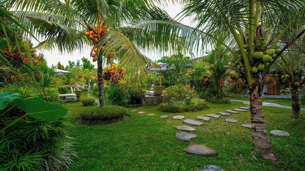 Hotel Green Coconut Cottage