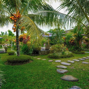 Hotel Green Coconut Cottage cazare Banjar Tebongkang