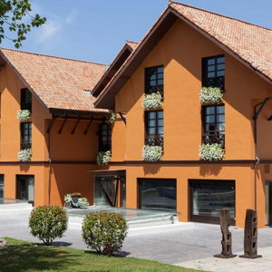 Hotel Hotel The Park cazare Derio