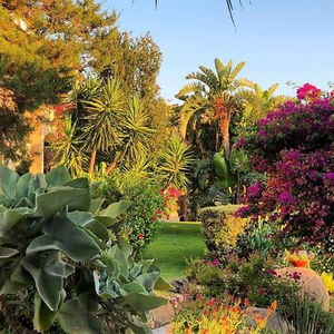 Hotel Raffael cazare Villasimius