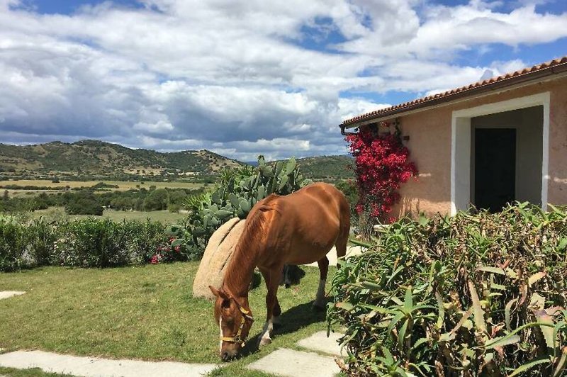Borgo Di Campagna