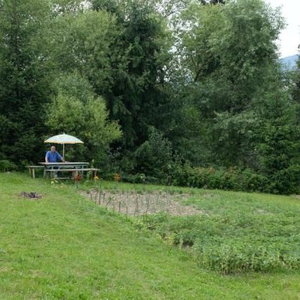 Hotel Pensiunea Flori De Camp cazare Vatra Dornei